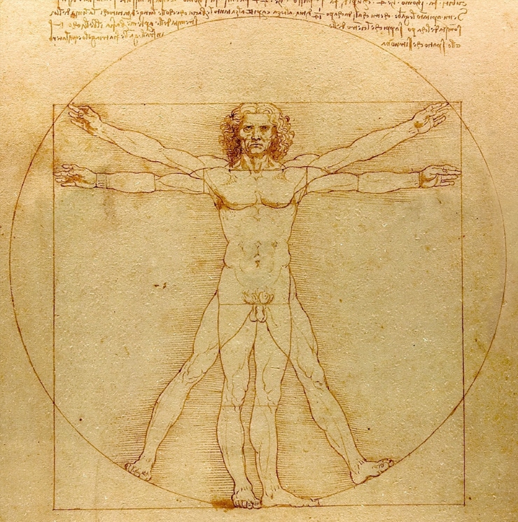Leonardo da Vinci. L'uomo vitruviano Leonardo da Vinci. L'uomo vitruviano